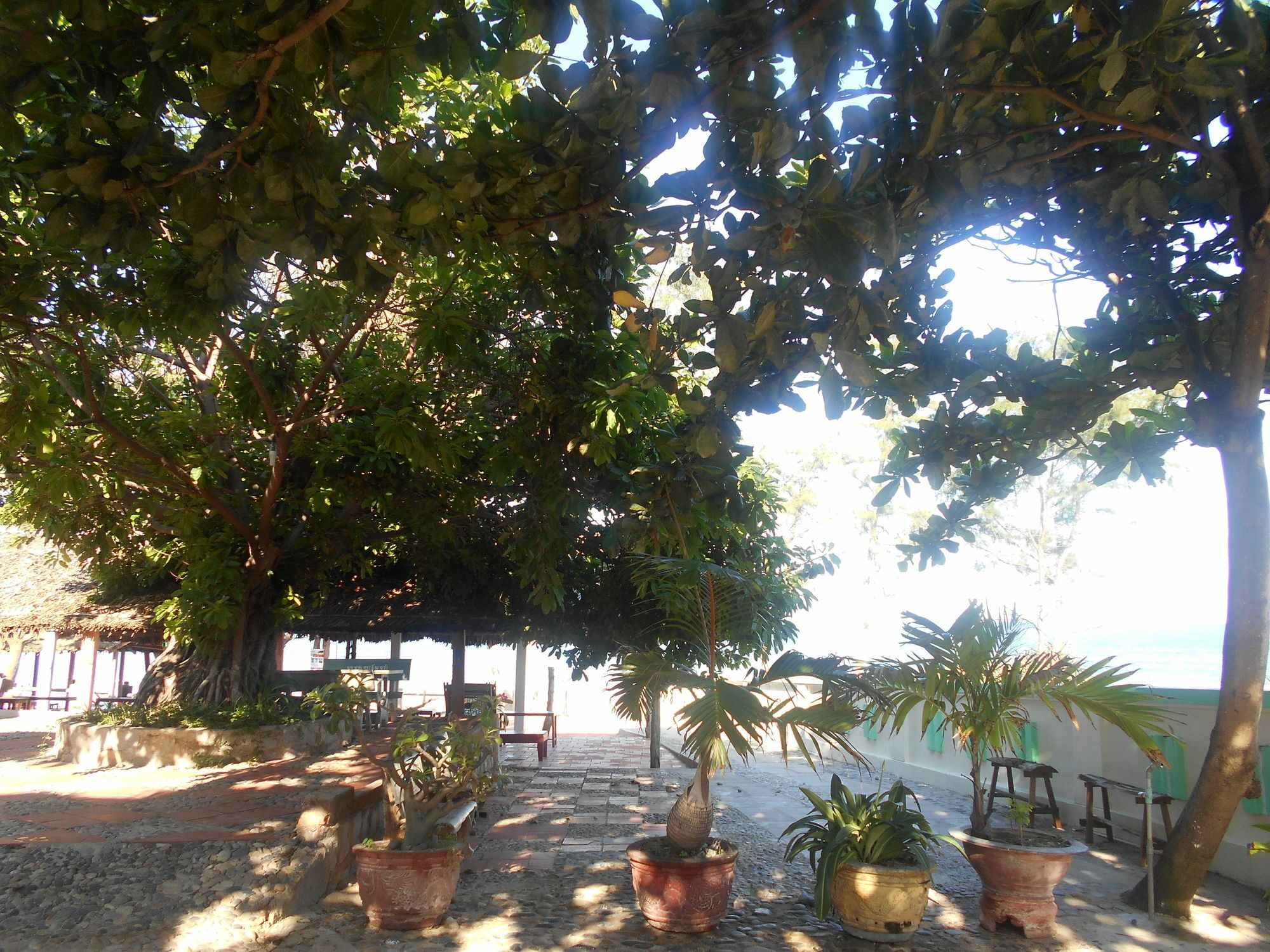 מואי נה Suoi Nuoc Resort מראה חיצוני תמונה
